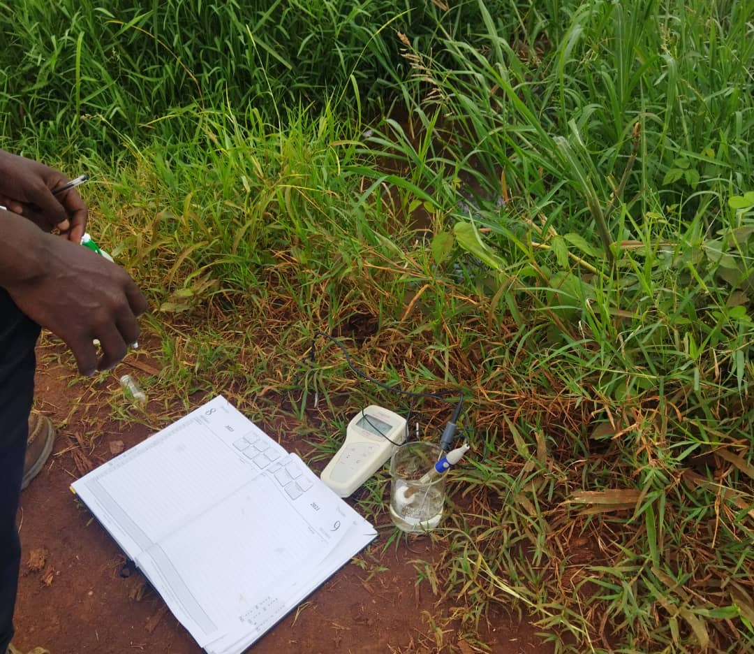 Water sample collection for environmental assessment